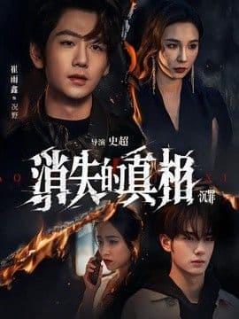 消失的真相·沉罪海报