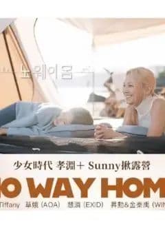 No Way Home海报