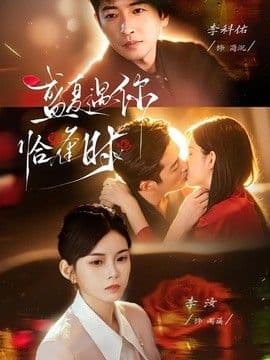 盛夏遇你恰逢时（婚夜温柔）海报