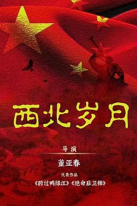 西北岁月海报
