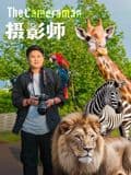 摄影师2026海报