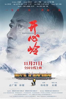 开心岭海报