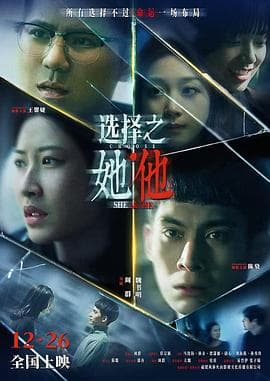 选择之她·他海报