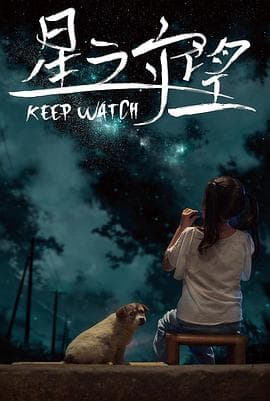 星之守望海报