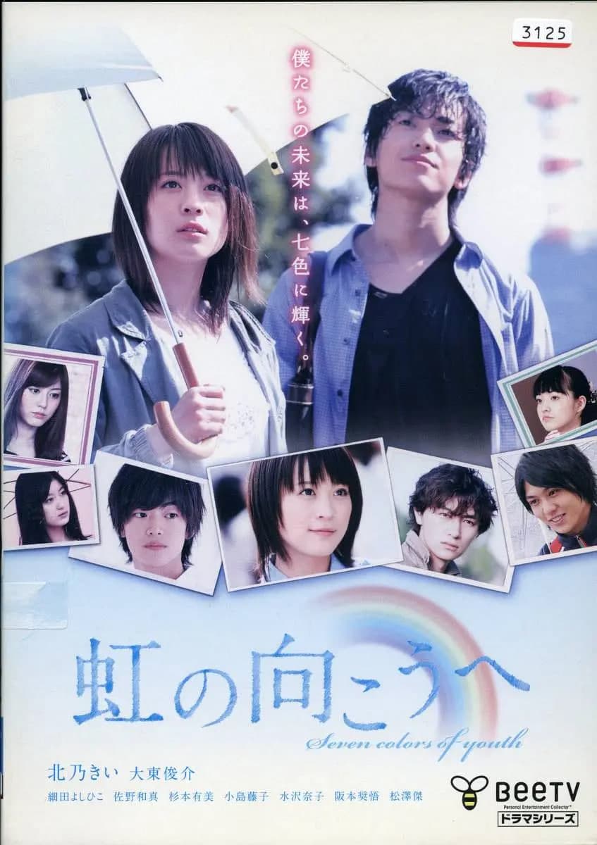 彩虹的对面海报