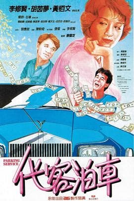 代客泊车国语海报