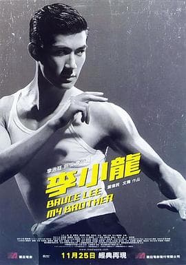 李小龙我的兄弟国语海报