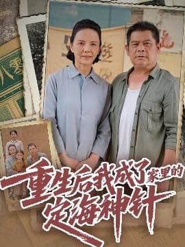 重生后我成了家里的定海神针海报