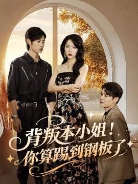 背叛本小姐你算踢到钢板了海报