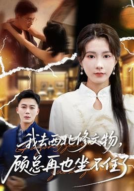 我去西北修文物，顾总再也坐不住了海报