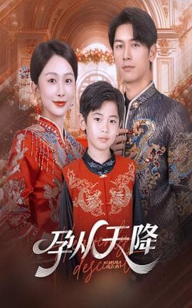 孕从天降海报