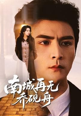 南城再无乔砚舟海报