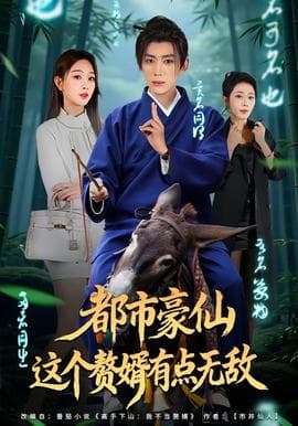 都市豪仙，这个赘婿有点无敌海报
