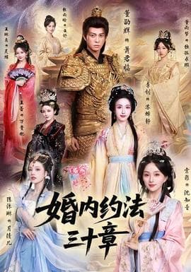 婚内约法三十章海报