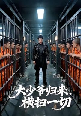 大少爷归来，横扫一切海报
