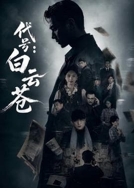 代号：白云苍海报