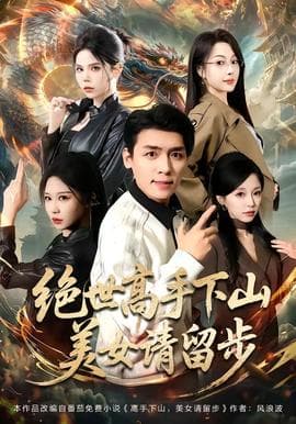 绝世高手下山，美女请留步海报