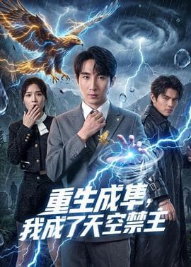重生成隼，我成了天空禁主海报