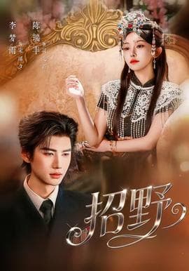 招野海报