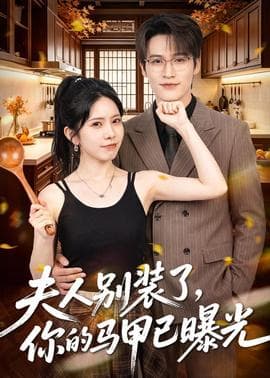 夫人别装了，你的马甲已曝光海报
