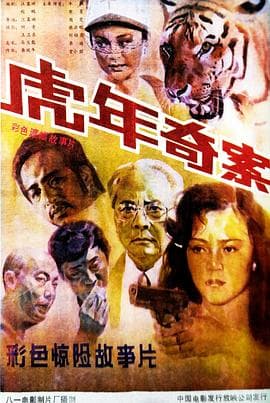 虎年奇案海报