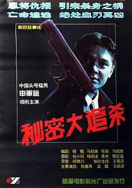 秘密大追杀海报