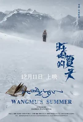 旺姆的夏天海报