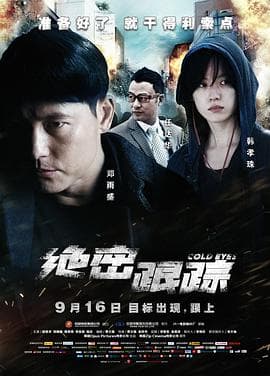 绝密跟踪(国语版)海报