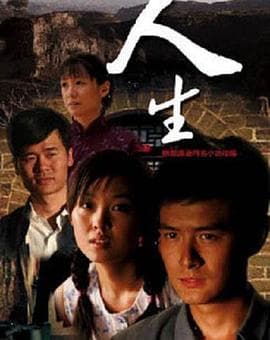 人生2014海报