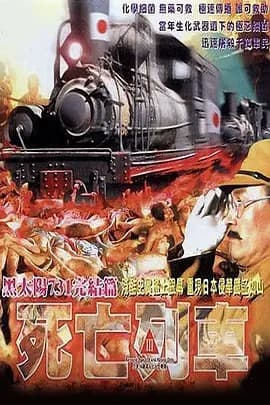 黑太陽731海报