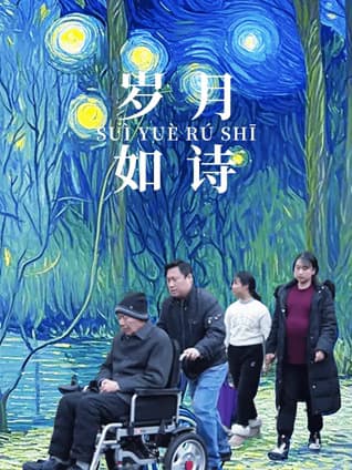 岁月如诗海报
