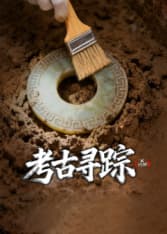 X档案·考古寻踪海报
