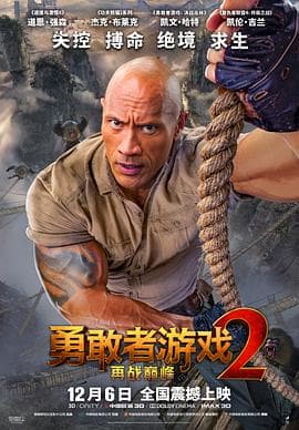勇敢者游戏2:再战巅峰(原声版)海报