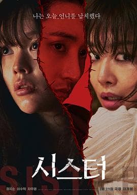 姐妹206海报