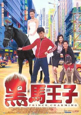 黑马王子国语海报