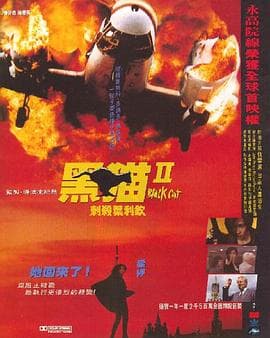 黑猫II:刺杀叶利钦国语海报