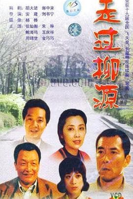 走过柳源海报