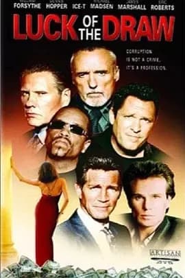 天命2000海报